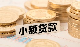 深圳民治街道哪里有小额贷款-深圳民治街道身份证贷款平台-深圳民治街道民间短借